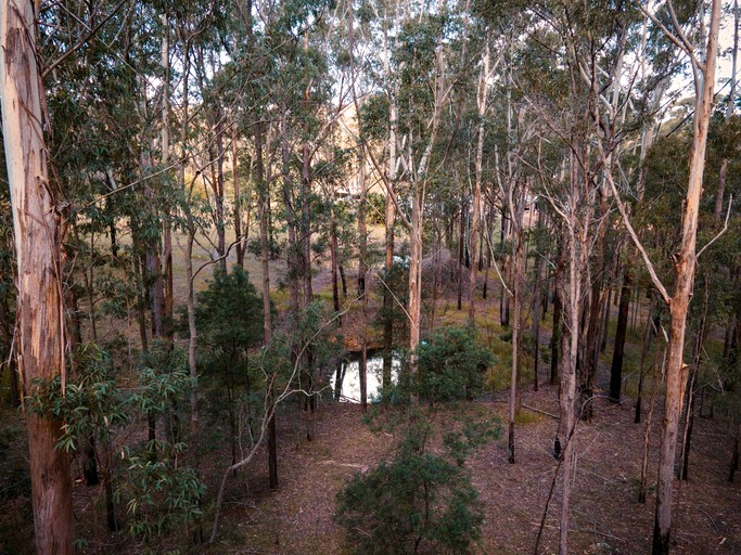 Tiny Houses (Australia, Upper Colo, New South Wales)