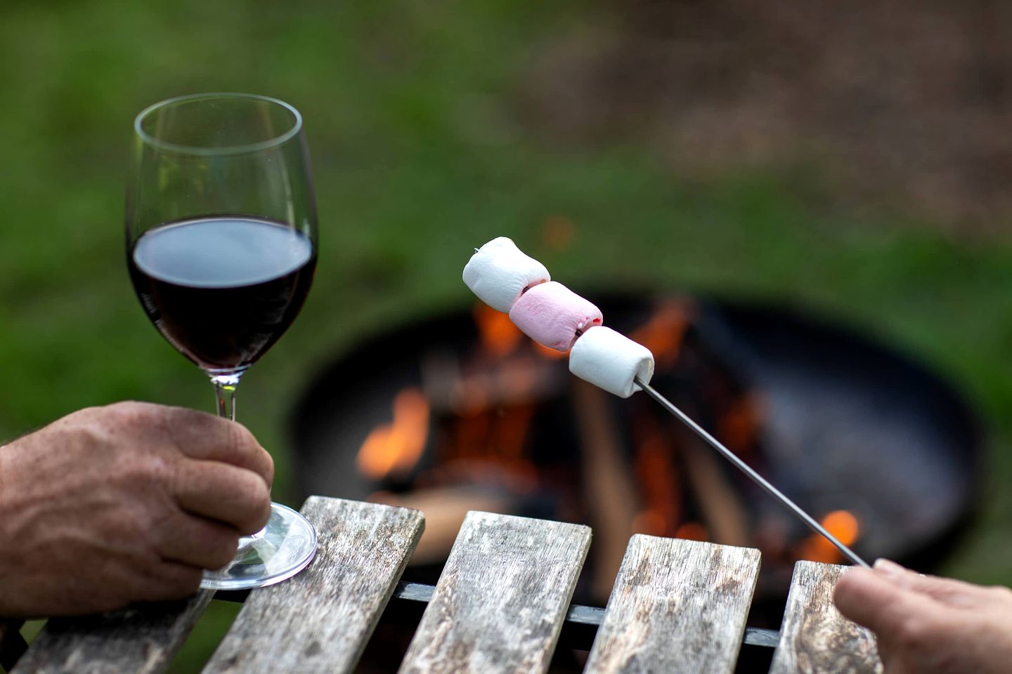 Secluded Tiny House with Outdoor Bathtub in Auckland, New Zealand