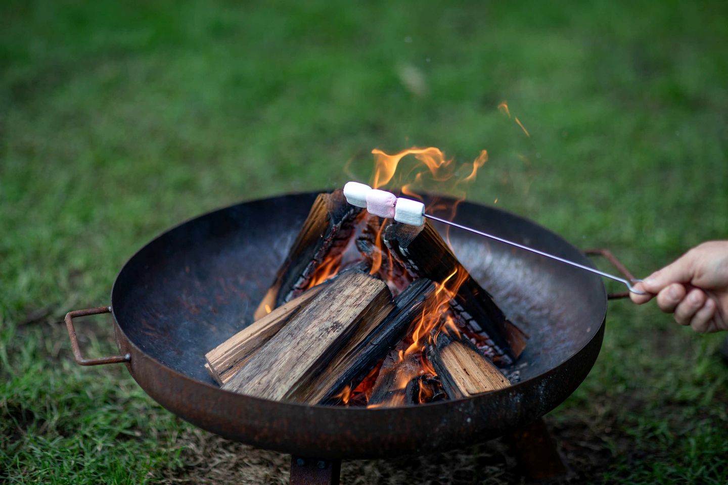 Secluded Tiny House with Outdoor Bathtub in Auckland, New Zealand