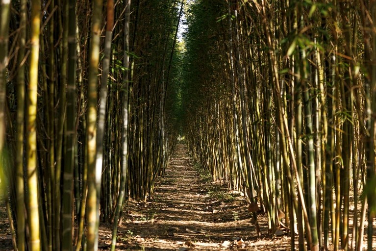 Tiny Houses (Australia, Bauple, Queensland)