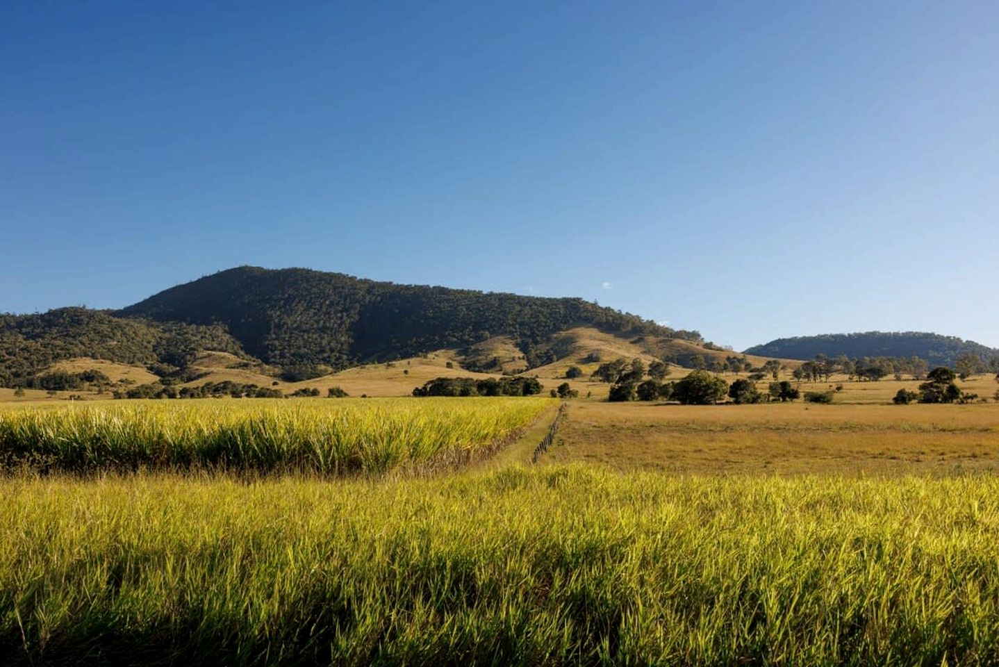 Secluded Tiny House Perfect for Water Activities and Family Time in Queensland, Australia
