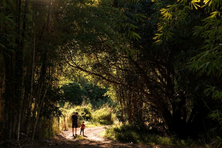 Tiny Houses (Australia, Bauple, Queensland)