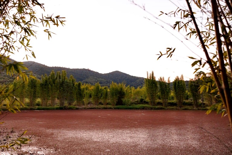 Tiny Houses (Australia, Bauple, Queensland)