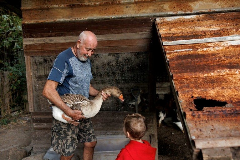 Tiny Houses (Australia, Bauple, Queensland)