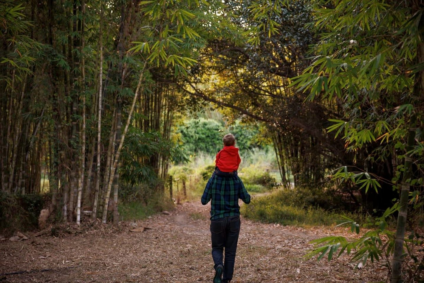 Secluded Tiny House Perfect for Water Activities and Family Time in Queensland, Australia