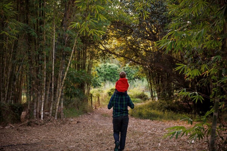 Tiny Houses (Australia, Bauple, Queensland)