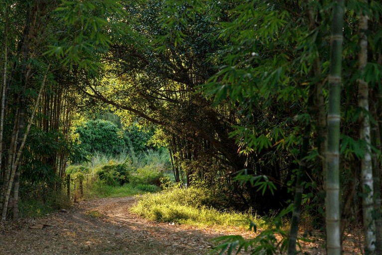 Tiny Houses (Australia, Bauple, Queensland)