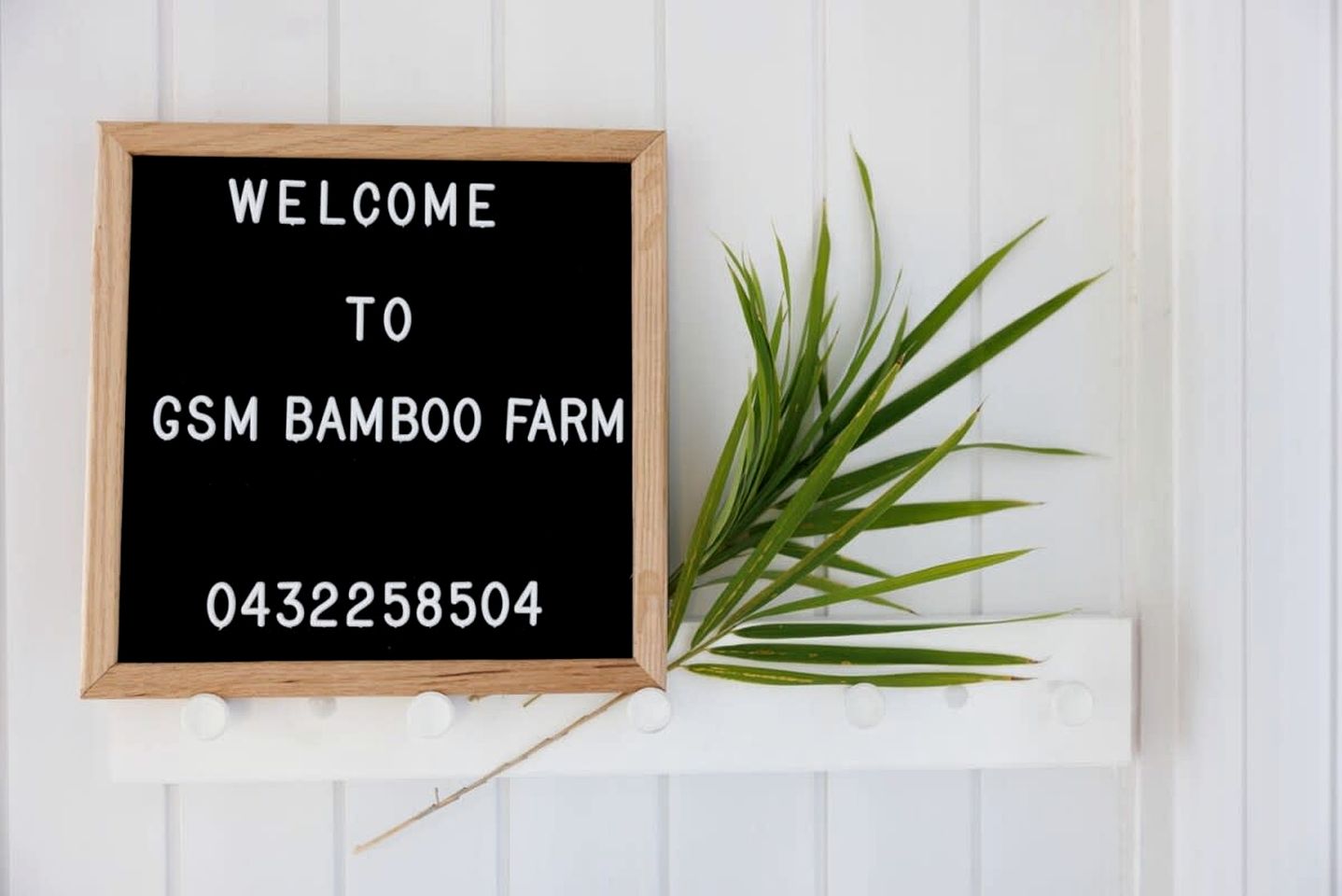 Secluded Tiny House Perfect for Water Activities and Family Time in Queensland, Australia