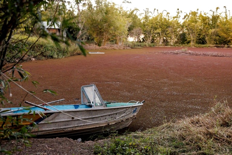 Tiny Houses (Australia, Bauple, Queensland)