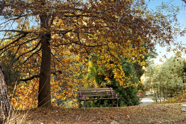 Tiny Houses (Australia, Daylesford, Victoria)