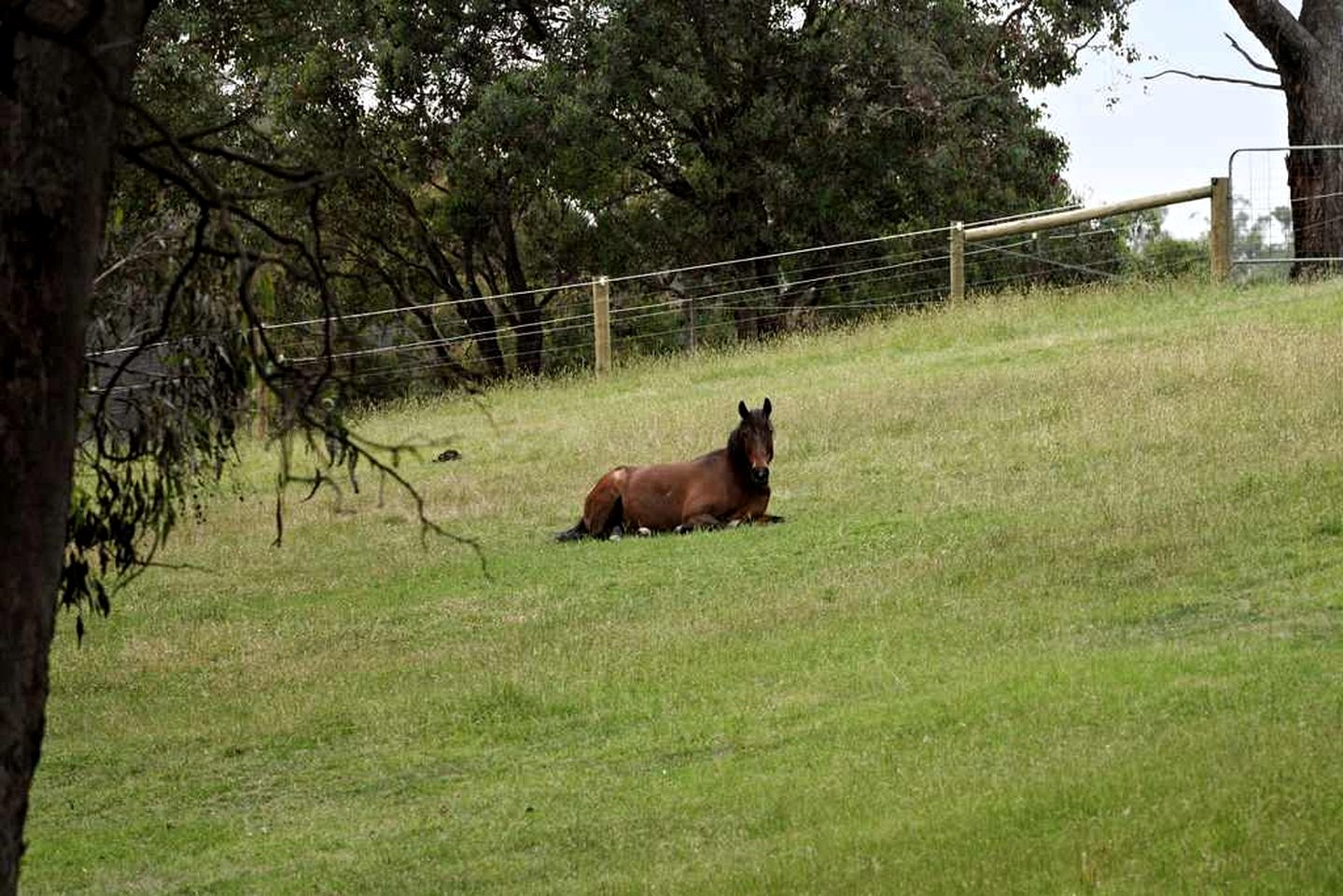 Acre Away in Hurstbridge, Victoria