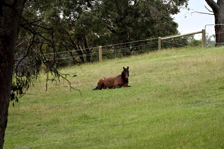 Tiny Houses (Australia, Hurstbridge, Victoria)