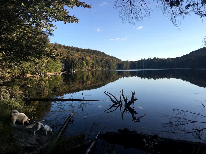 Tiny Houses (Canada, Harrington, Quebec)