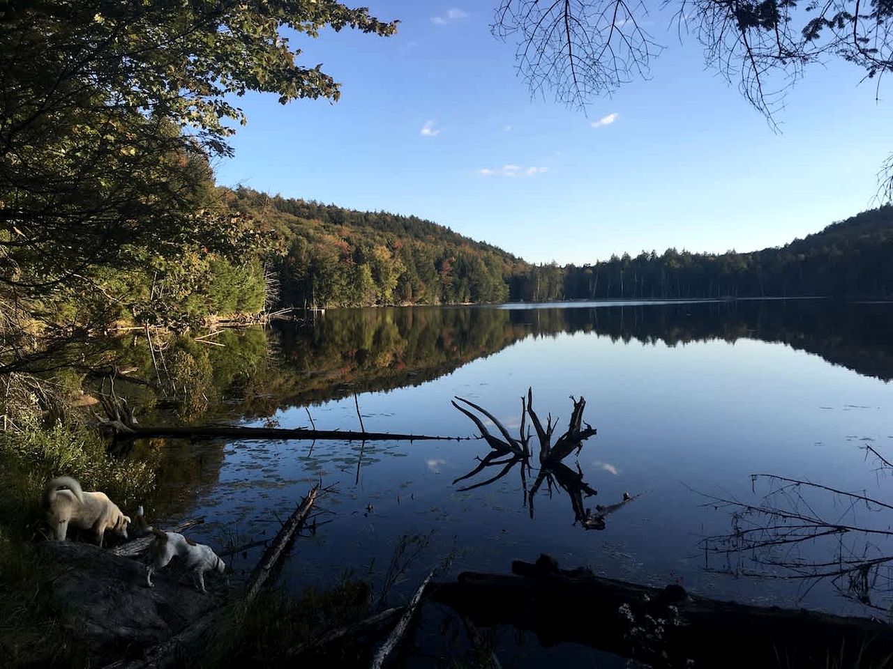 Secluded Tiny House Surrounded by Trees for a Peaceful Escape in Nature near Harrington, Quebec