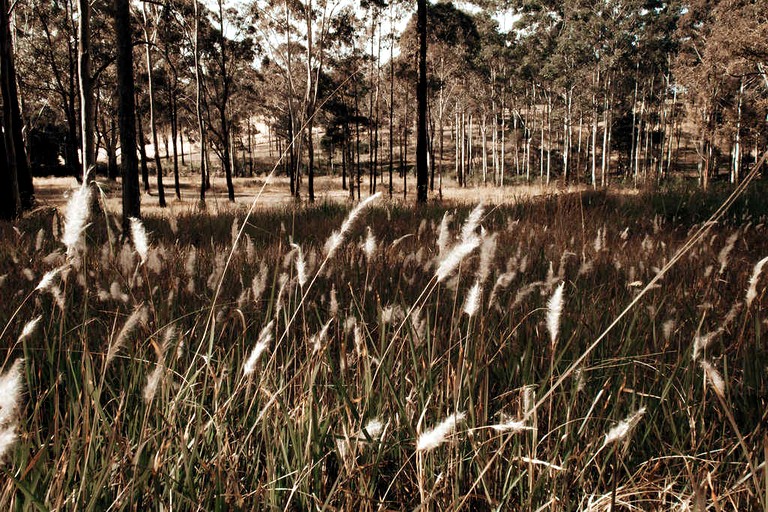 Tiny Houses (Australia, Possum Brush, New South Wales)