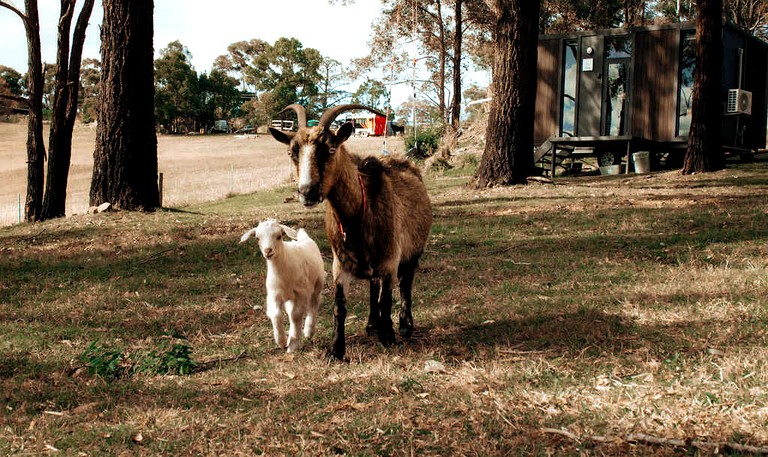 Tiny Houses (Australia, Possum Brush, New South Wales)