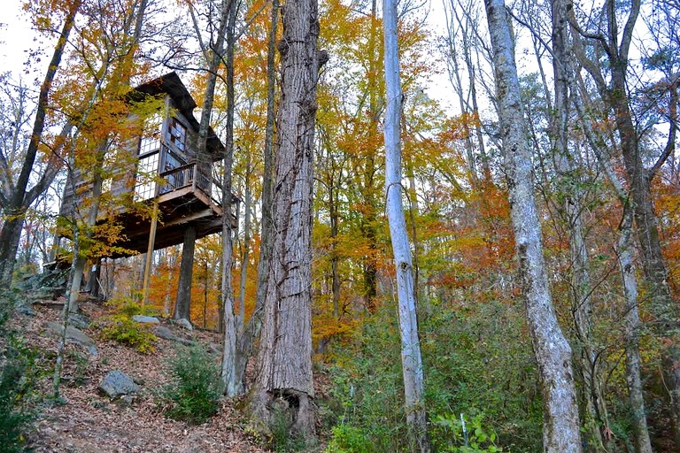 Tree Houses (United States of America, Flintstone, Georgia)