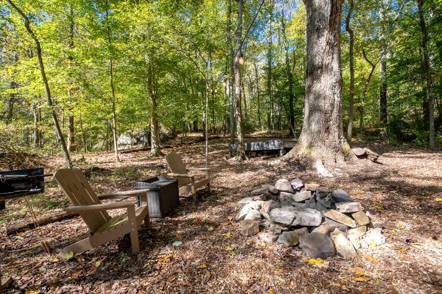 Secluded Tree House in the Forest near the Appalachian Mountains, Georgia