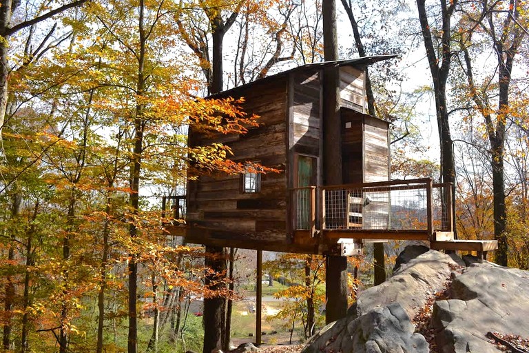 Tree Houses (United States of America, Flintstone, Georgia)