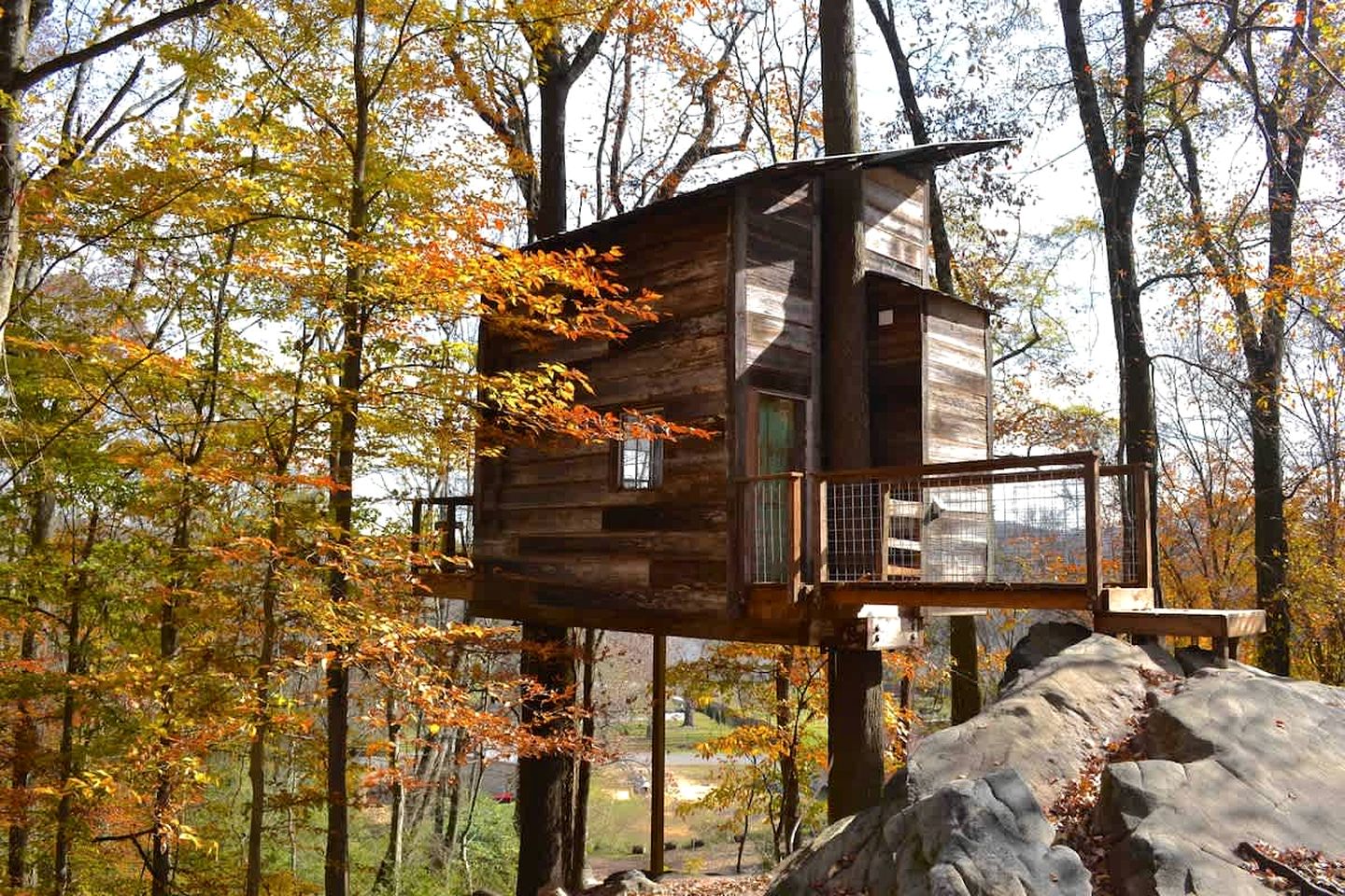 Tree Houses (United States of America, Flintstone, Georgia)