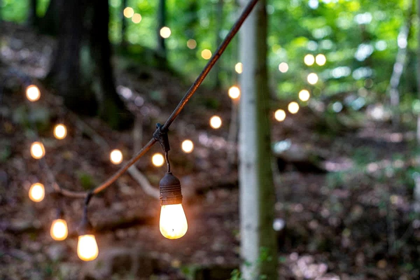 Secluded Tree House in the Forest near the Appalachian Mountains, Georgia