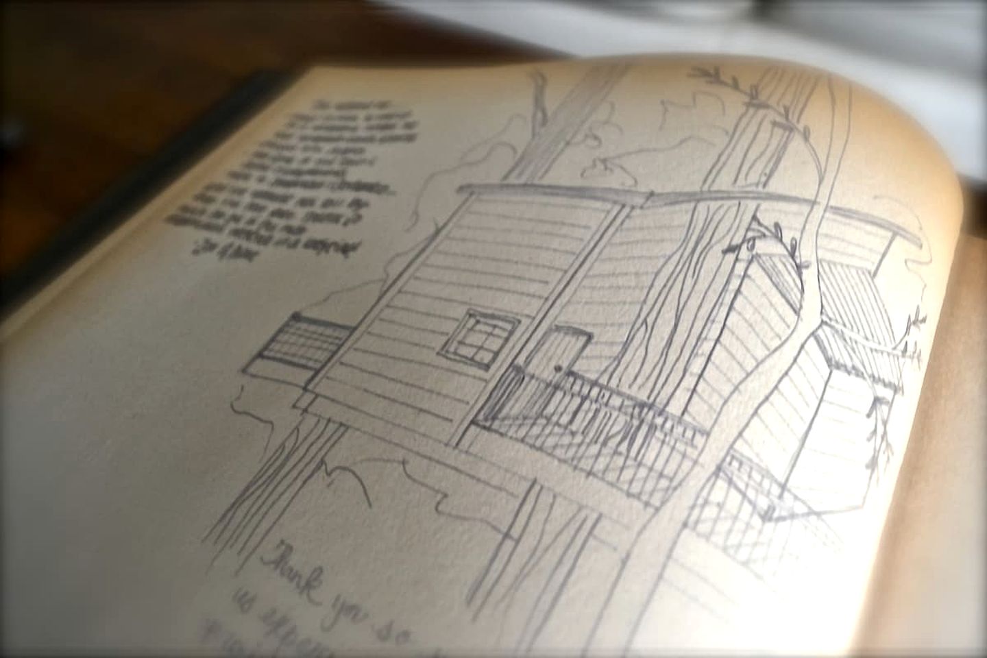 Secluded Tree House in the Forest near the Appalachian Mountains, Georgia