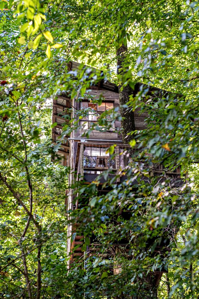 Secluded Tree House in the Forest near the Appalachian Mountains, Georgia