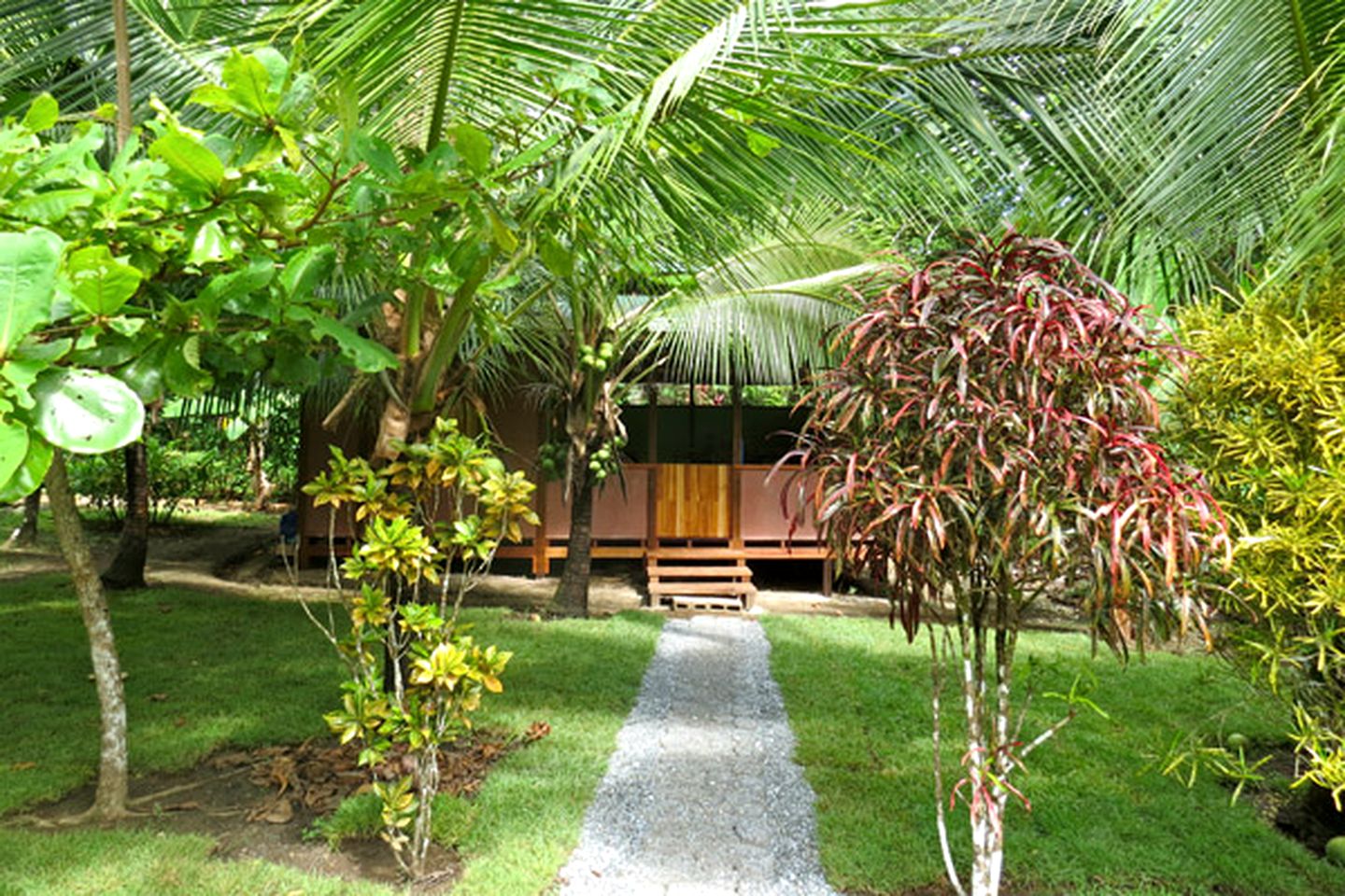 Secluded, Tropical Rainforest Cabins near the Beach in Costa Rica