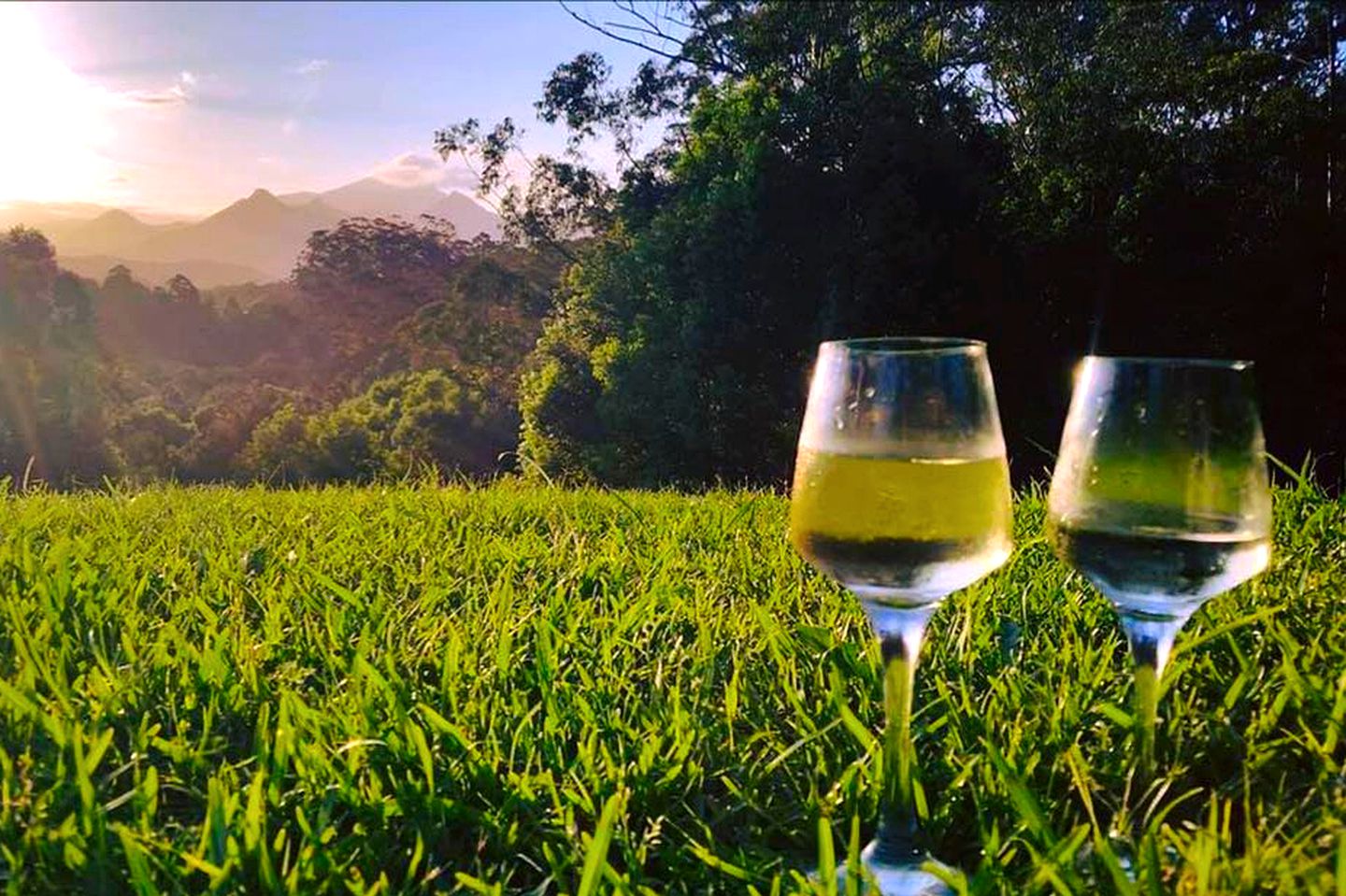 Secluded Tweed Accommodation for Romantic Getaways in NSW