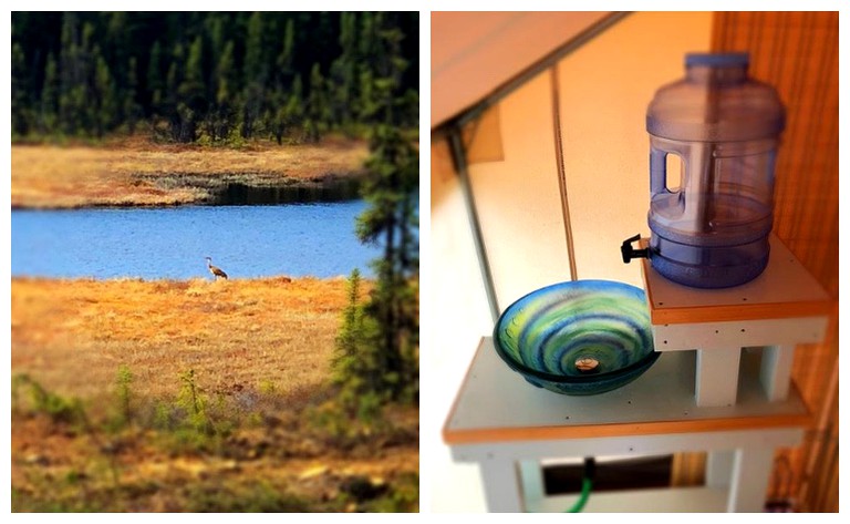 Safari Tents (Soldotna, Alaska, United States)