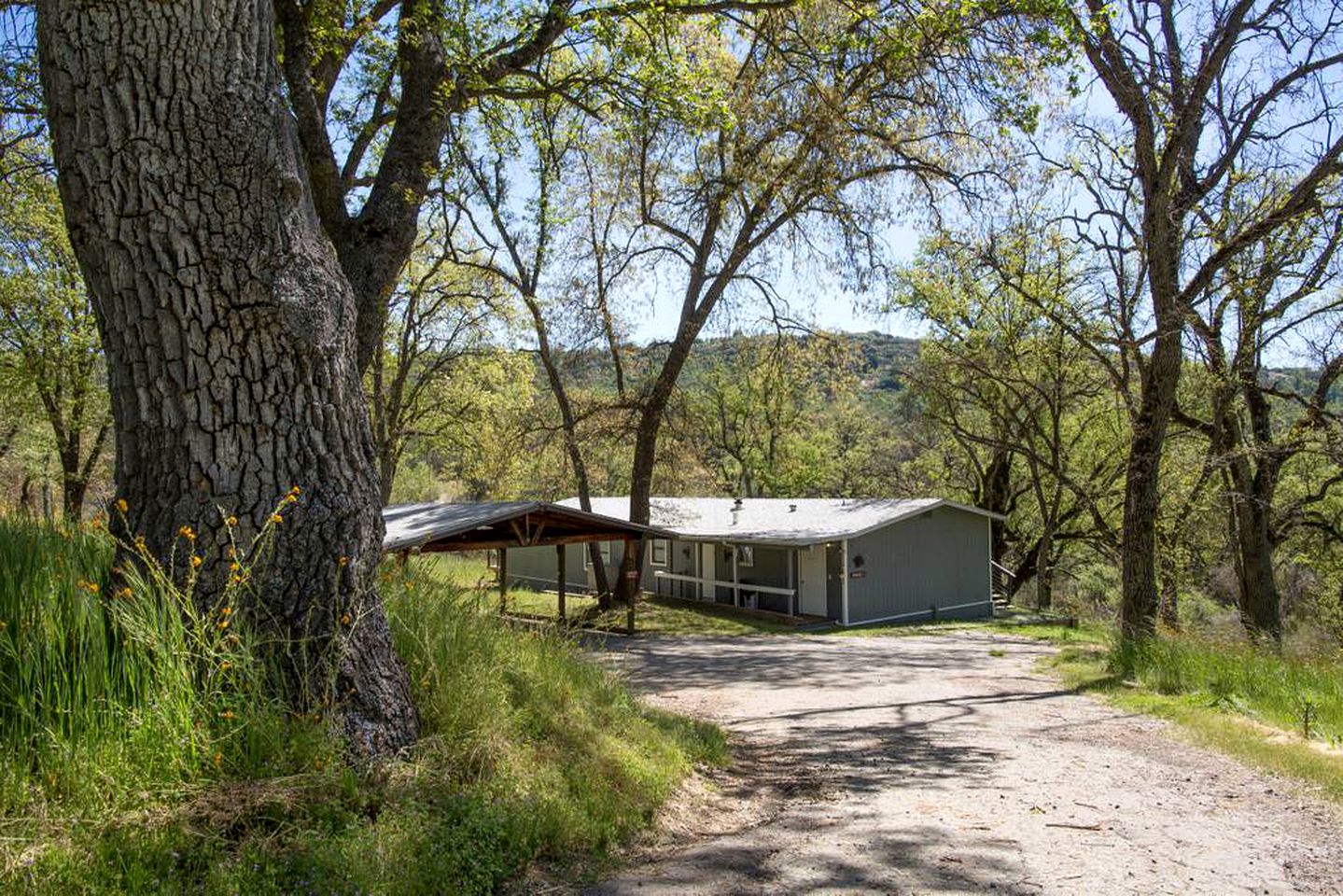 Secluded Vacation Cabin with Modern Furnishings near Bakersfield, California