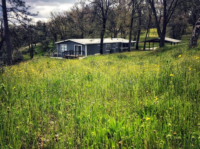 Cabins (Badger, California, United States)