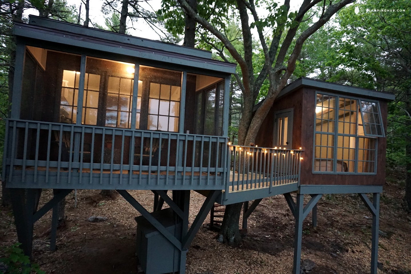 Tree House Rental in Maine