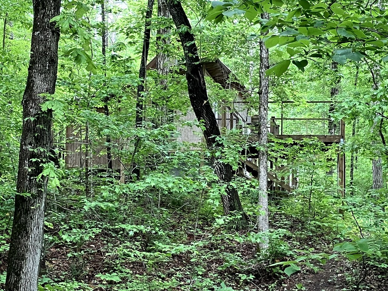 Secluded Woodland Cabin for an Authentic Off-Grid Nature Escape in Fruithurst, Alabama