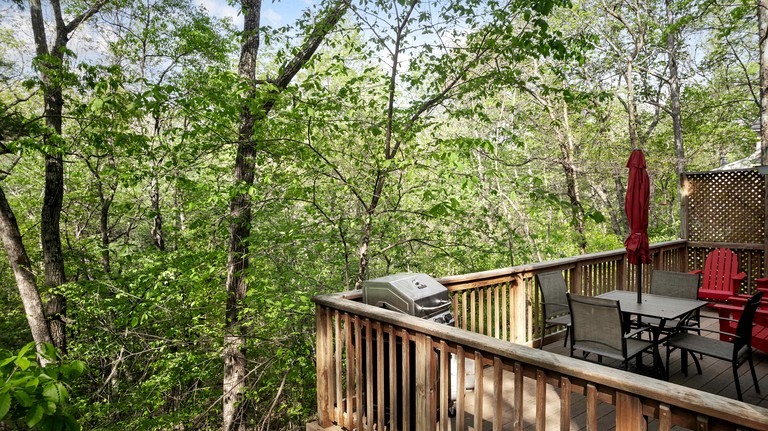 Cabins (United States of America, Gerrardstown, West Virginia)