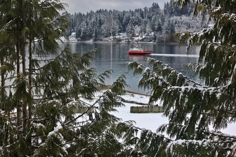 Cabins (Lakebay, Washington, United States)