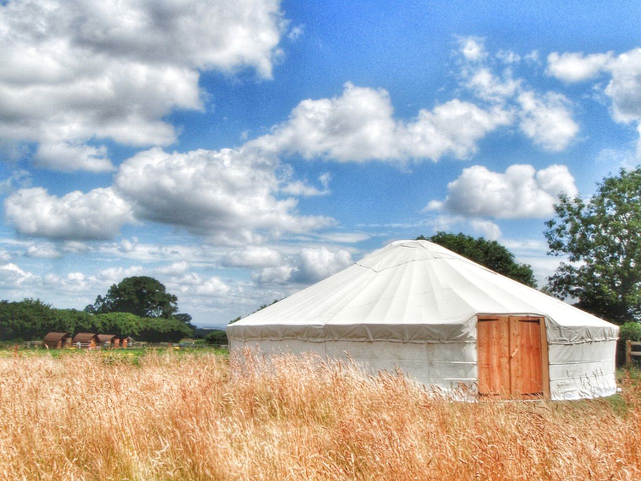 Yurts (Goathurst, England, United Kingdom)
