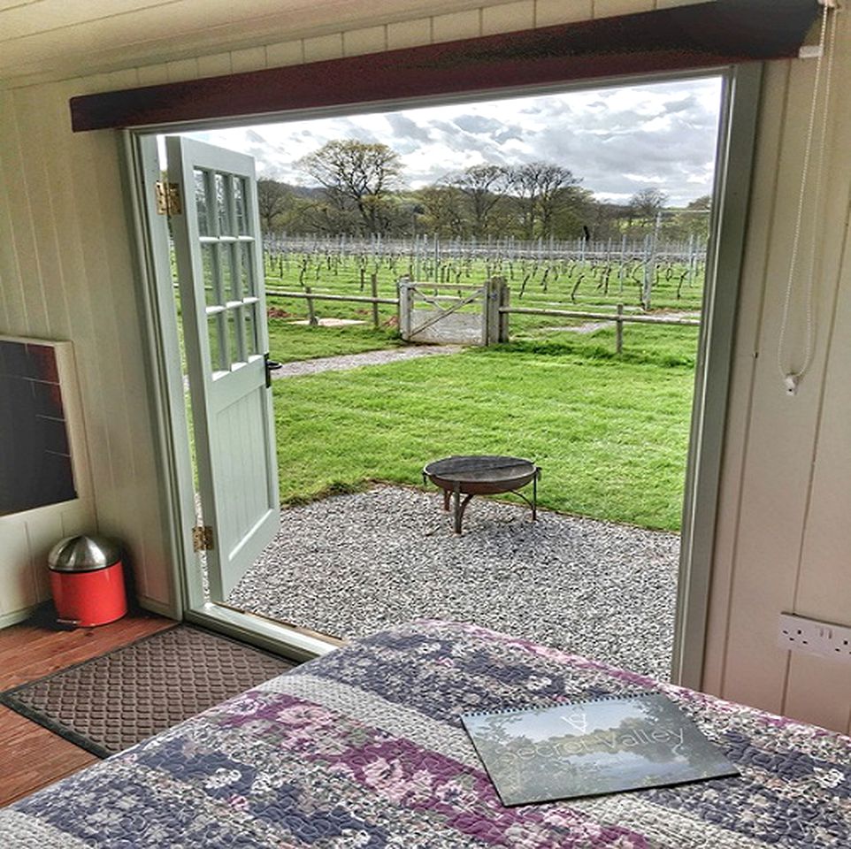 Cozy and Romantic Hut on Private Vineyard near Bridgwater, England
