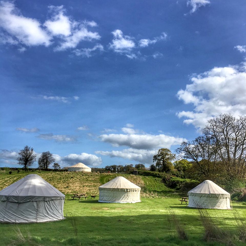 Peaceful and Tranquil Yurt Accommodation in Natural Wildlife near Exmoor National Park, England