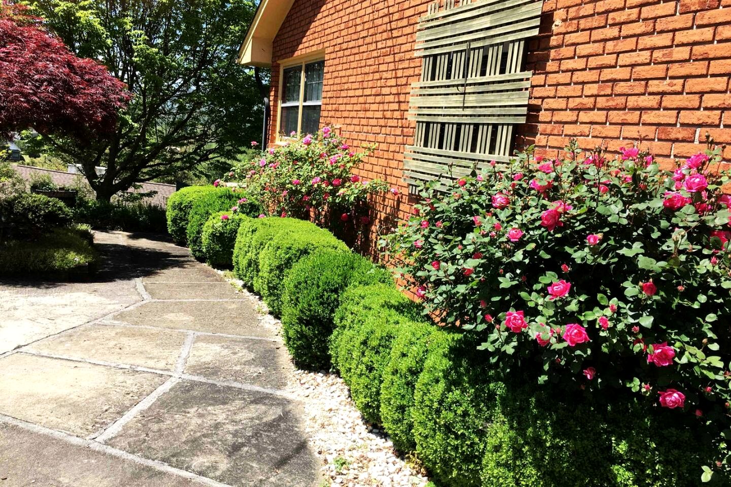 Amazing Cottage Close to Great Hiking Trails in Canton, North Carolina