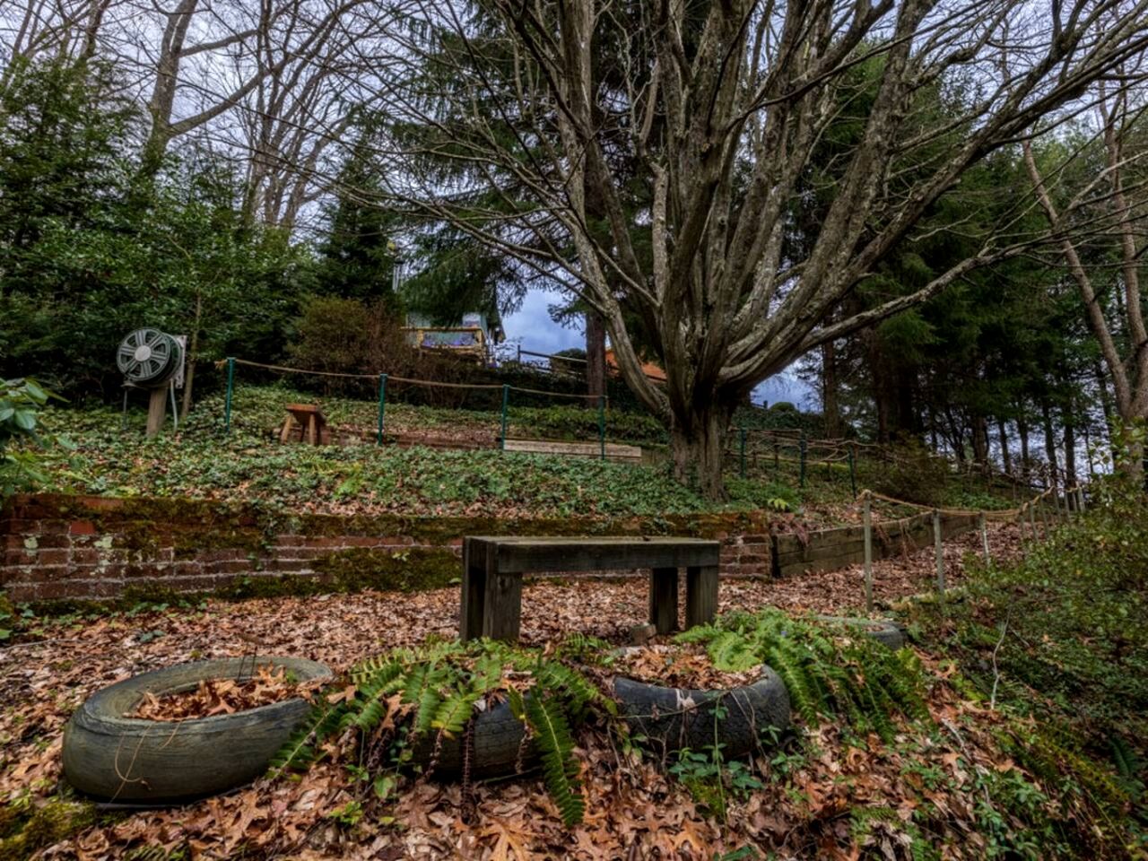 Amazing Cottage Close to Great Hiking Trails in Canton, North Carolina