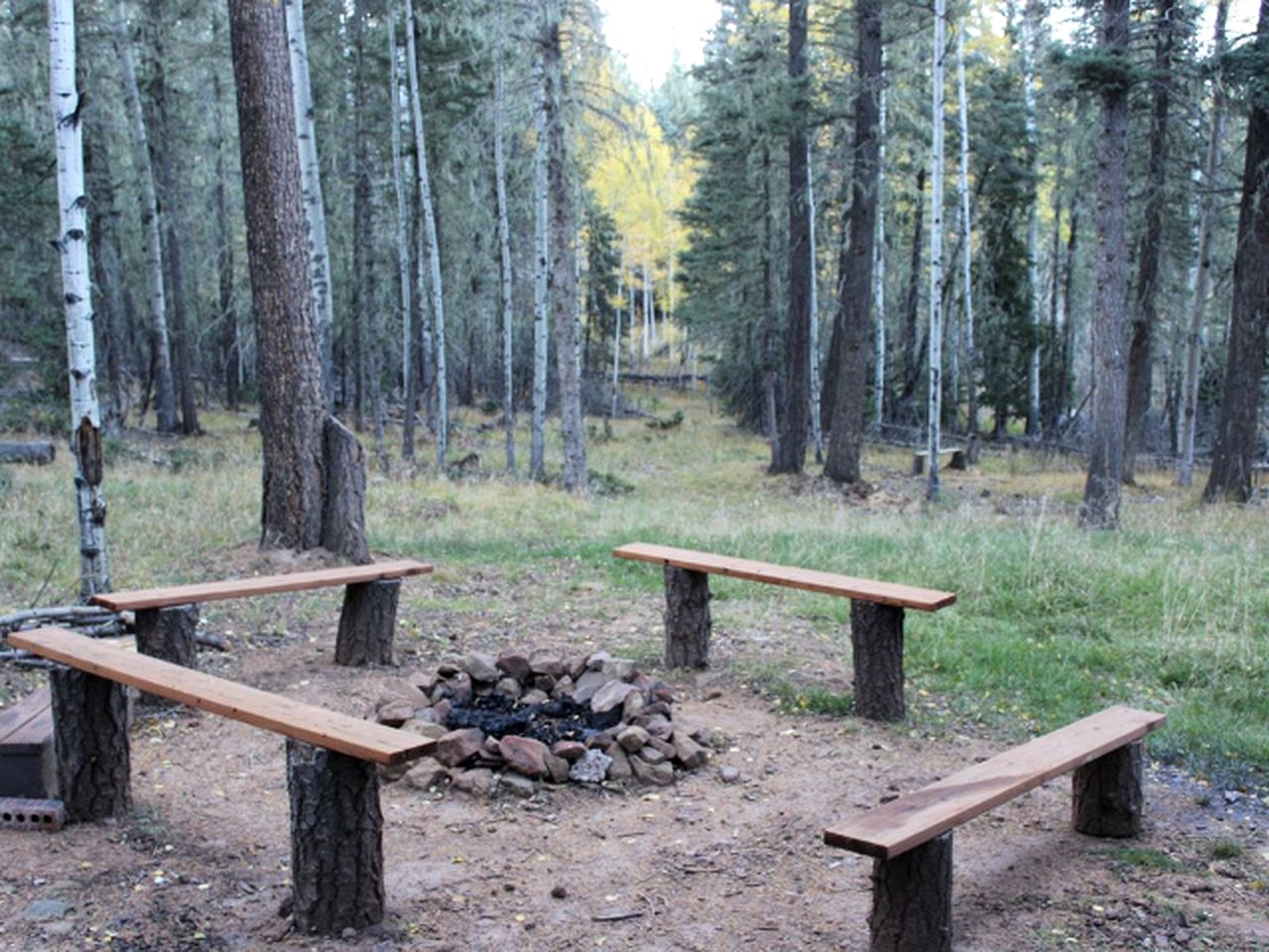 Cozy and Rustic Cabin Rental near Mount Snow in Angel Fire, New Mexico