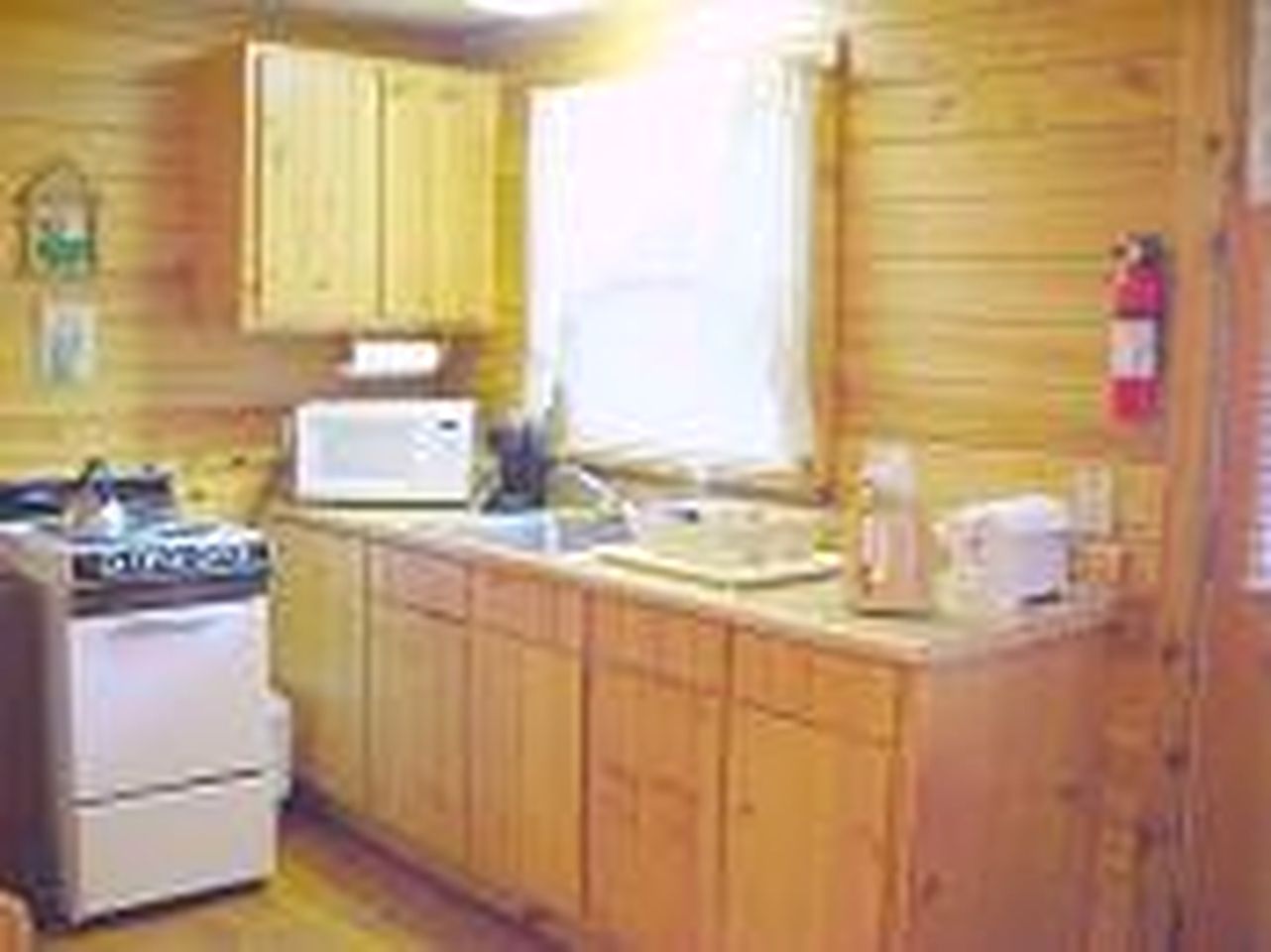 Dog-Friendly Cottage with Jacuzzi Tub Nestled in the Woods near Helen, Georgia