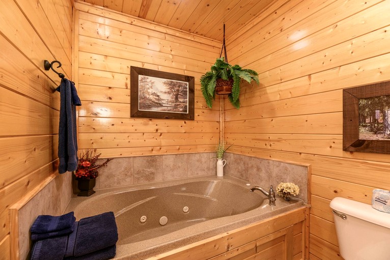 Cabins (United States of America, Sevierville, Tennessee)