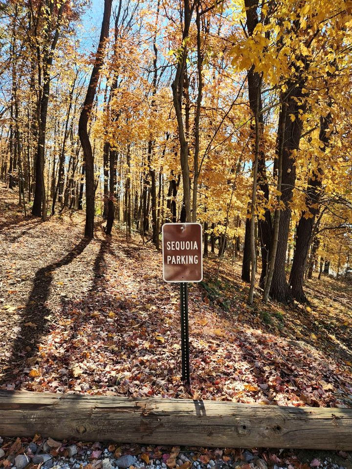Lofted Cabin Wonderful for Outdoor Adventures near Tappan Lake in Ohio