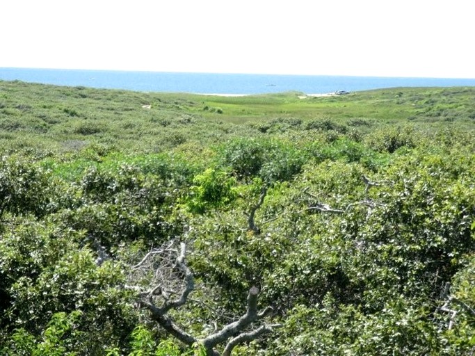 Beach Houses (Nantucket, Massachusetts, United States)