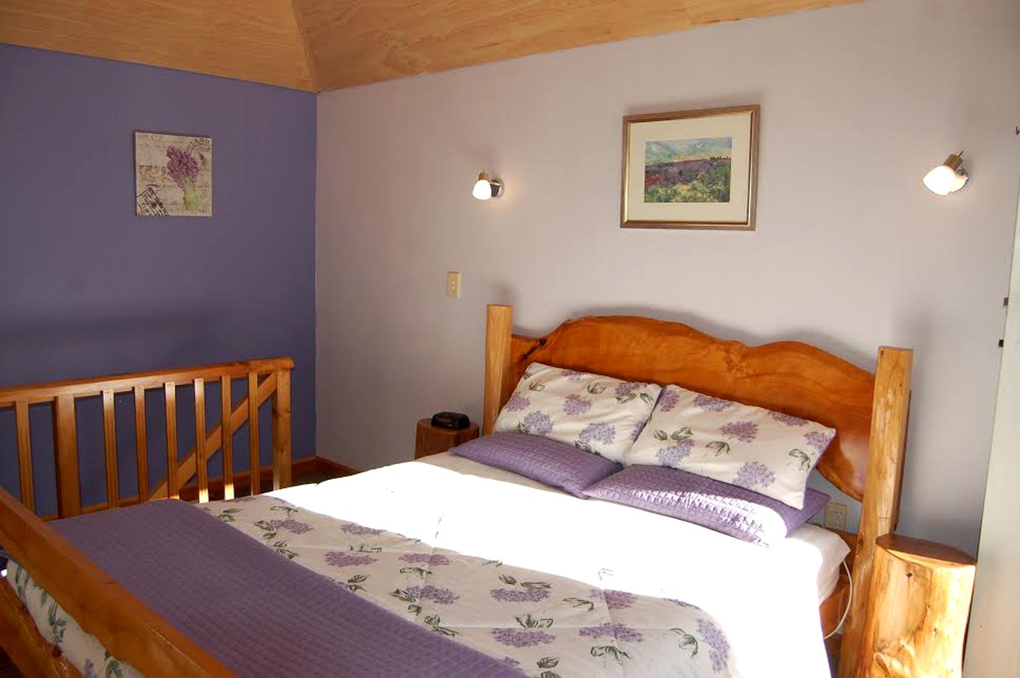 Serene Cottage With Picturesque Views of Mt Fyffe in Kaikoura, New Zealand