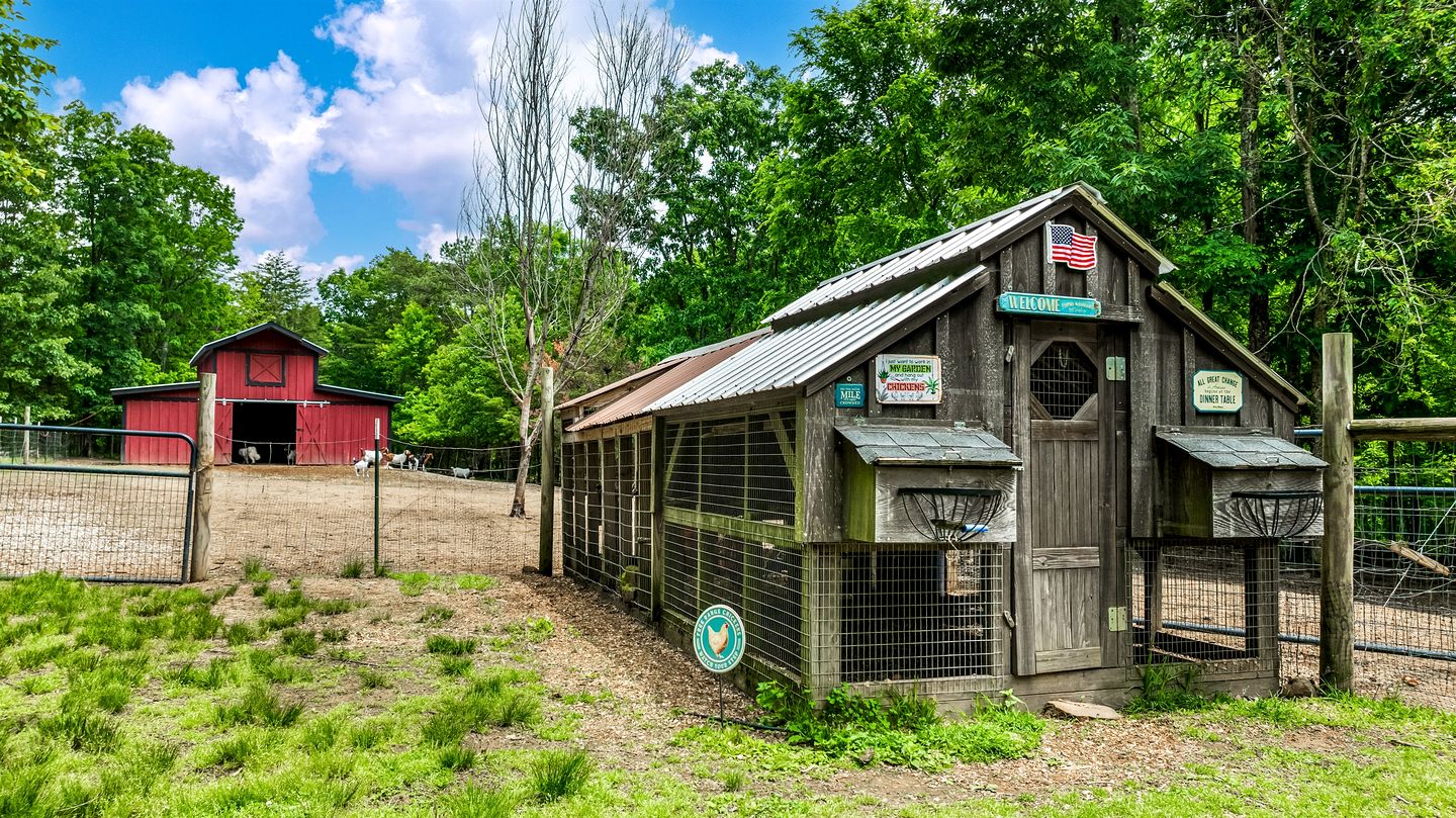Serene Countryside Cabin Surrounded by Nature in Mentone, Alabama