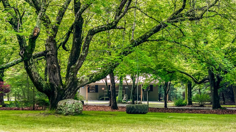 Cabins (United States of America, Mentone, Alabama)