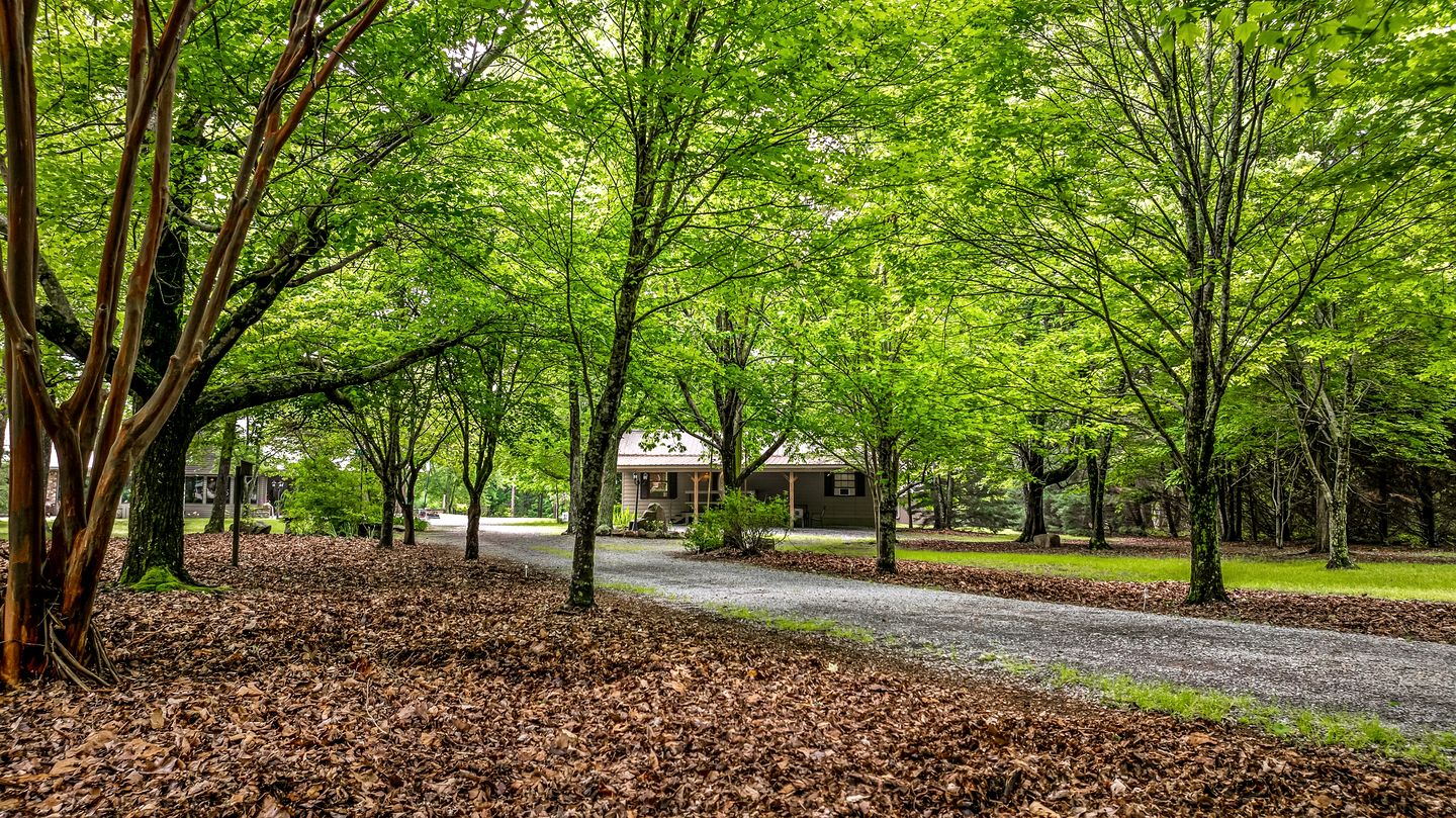 Serene Countryside Cabin Surrounded by Nature in Mentone, Alabama